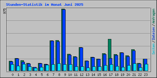 Stunden-Statistik im Monat Juni 2025