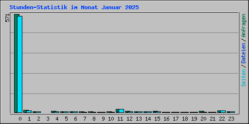 Stunden-Statistik im Monat Januar 2025